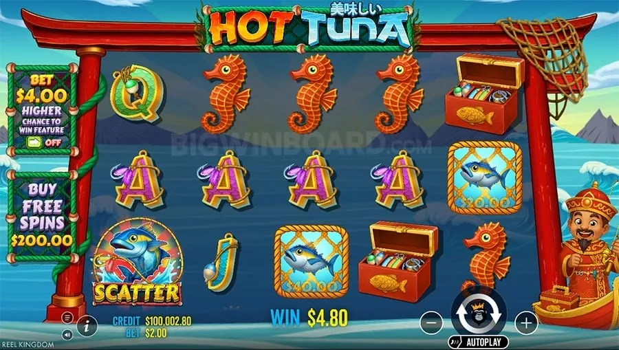 Sports betting on 8k8 app